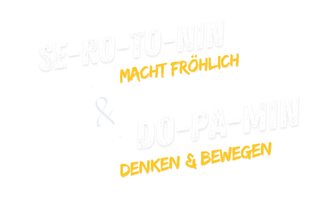 Welche Auswirkungen hat PKU auf Serotonin und Dopamin?